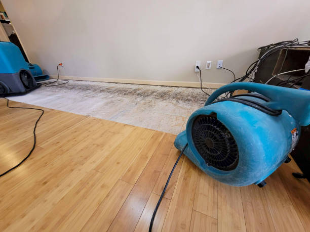 Professional Basement Flood Cleanup technician working in Ephraim, UT